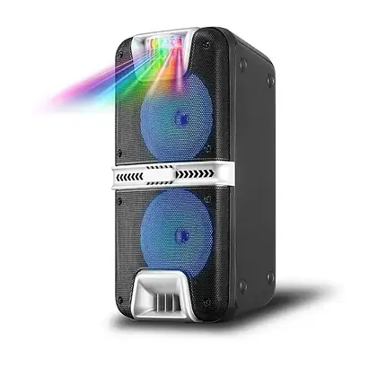 Портативна акустична система з 1 караоке мікрофоном 6.5"х2 HANSUO HS-TD0699 Bluetooth колонка 30W, фото 1