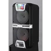 Портативна акустична система з 1 караоке мікрофоном 6.5"х2 HANSUO HS-TD0699 Bluetooth колонка 30W, фото 3