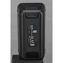 Портативна акустична система з 1 караоке мікрофоном 6.5"х2 HANSUO HS-TD0699 Bluetooth колонка 30W, фото 5