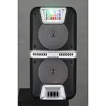 Портативна акустична система з 1 караоке мікрофоном 6.5"х2 HANSUO HS-TD0699 Bluetooth колонка 30W, фото 4