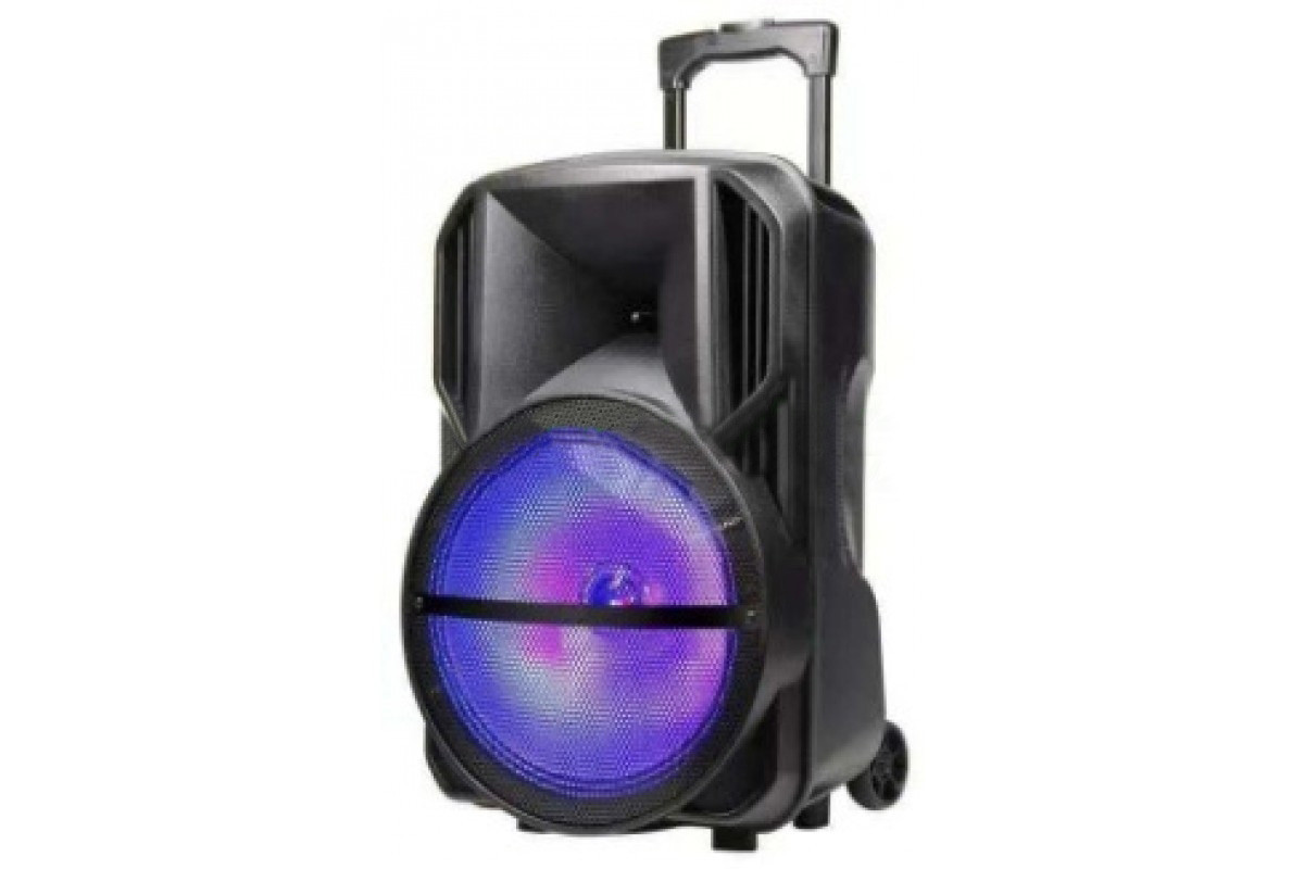 Бездротова акустична система у вигляді валізки MD19-12L