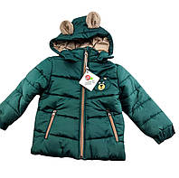 Дитяча куртка 2, 3, 4 і 5 років Туреччина з капюшоном для хлопчика зимова зелений (КДМА33)