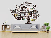 Сімейне дерево на 14 фотографій/малюнок/фотографічна модель/картонування/колаж/оцінка