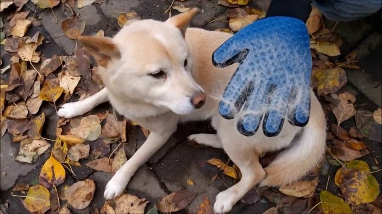 Перчатка для вычесывания шерсти True Touch, Тру Тач, Pet Glove BAN - фото 10 - id-p1797370935