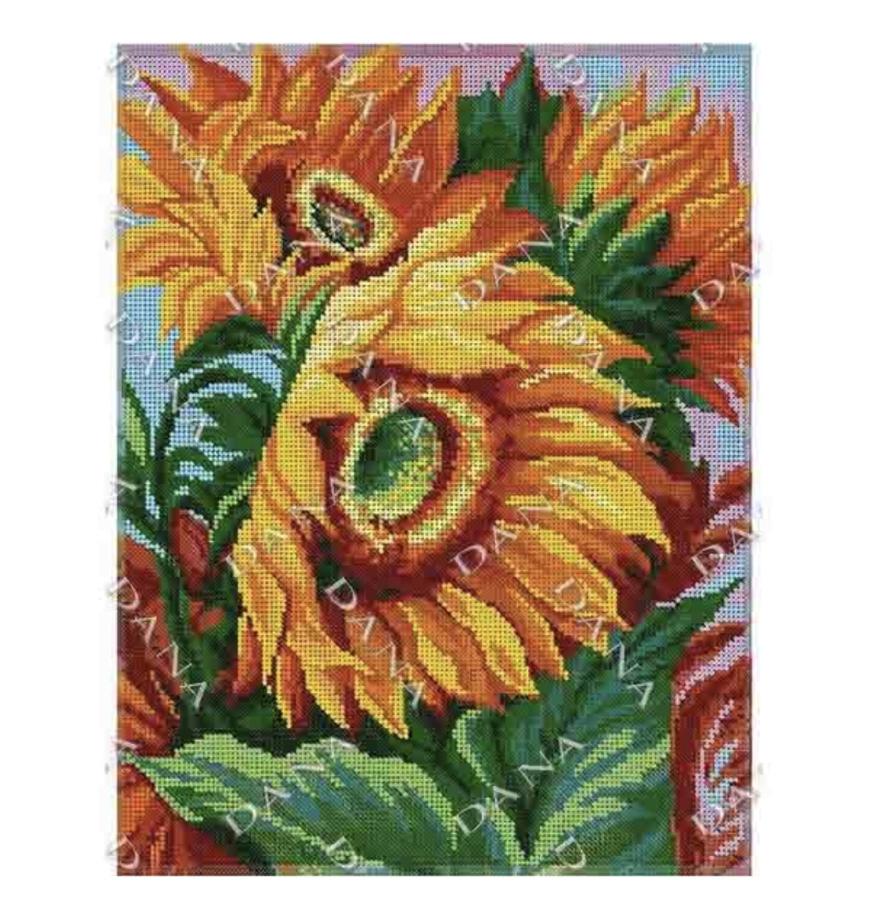 Купить Подсолнечники, цена 80 ₴ — Prom.ua (ID#1797452489)