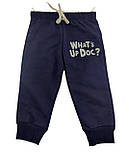 Дитячий спортивний костюм 1 рік Туреччина для хлопчиків трикотажний сірий (КД103), фото 2