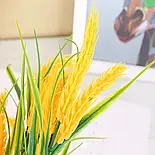 Букет колосків пшениці 32 см, фото 3