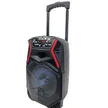 Акустична портативна система з караоке мікрофоном Winso OTY-8 8"x1-10W Bluetooth колонка з RGB стерео PLM, фото 2