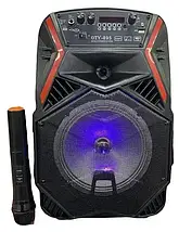 Акустична портативна система з караоке мікрофоном Winso OTY-8 8"x1-10W Bluetooth колонка з RGB стерео PLM, фото 3