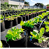 Grow Bag 5 літрів Тканинні горщики / контейнери для рослин (щільність 50 г/м2), фото 7