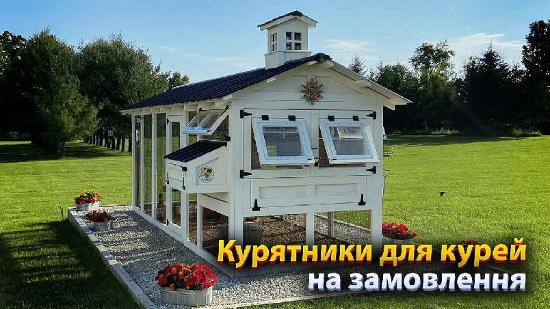 🇺🇦 Курятники для ваших курей на замовлення