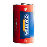 Лужна батарейка Quantum Strong D/LR20 2шт/уп shrink, фото 2