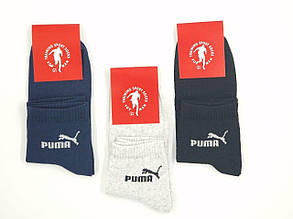 Чоловічі середні демісезонні шкарпетки бавовна  Sport Socks "Р" ,  40-44, 12 пар/уп. асорті