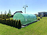 Теплиця, парник плівкова армована 18 м2 MIRPOL Польща з вікнами 3 х 6 х 2 м зелена, фото 7