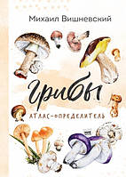 Грибы. Атлас-определитель