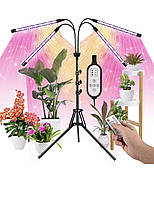 Lxyoug LED Grow Lights для комнатных растений Полный спектр света лампа для выращивания с таймером