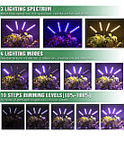 Lxyoug LED Grow Lights для кімнатних рослин Повний спектр світла лампа для вирощування з таймером, фото 4