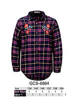 Рубашка для девочек, Glo-story, 140 см, № GCS-6884
