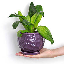 Горщик вазонок для квітів 0,75 л, h-10 см, d-12 см маленький круглий "Куля параметрична" фіолет