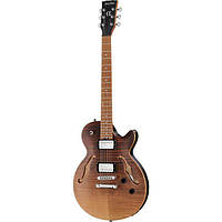 Harley Benton Aeolus Frost Flame