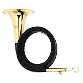 Fuerst Pless Horns