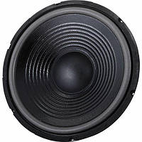 The box 12" Speaker for TT305-H