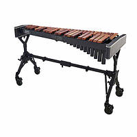 Thomann XS2HV35T Solist Xylophone A442