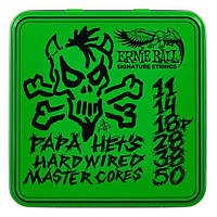 Ernie Ball Papa Het´s Sign String Set