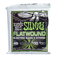 Ernie Ball 2816