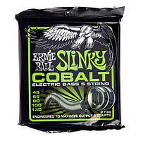 Ernie Ball 2736