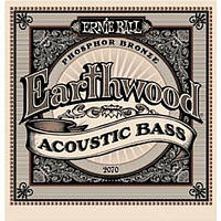 Ernie Ball 2070 Earthwood