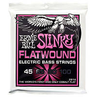 Ernie Ball 2814