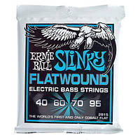 Ernie Ball 2815