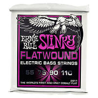 Ernie Ball 2811