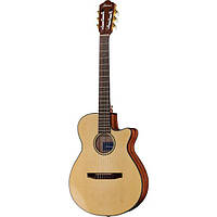 Нейлон Ibanez AEG50N-NT