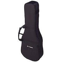 Thomann Viola Toeira Case