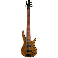 Ibanez GSR206B-WNF