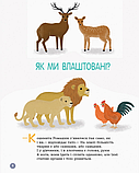 Книга Для турботливіх батьків: Енциклопедія статевого життя 4-6 років, фото 5