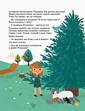 Книга Для турботливіх батьків: Енциклопедія статевого життя 4-6 років, фото 4