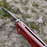 Ніж складний Viking Nordway PRO SCOUT,  AUS8, дерево, V&N K746,, фото 4