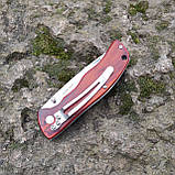Ніж складний Viking Nordway PRO SCOUT,  AUS8, дерево, V&N K746,, фото 6