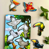 Вкладки Птахи (фон з підказкою)