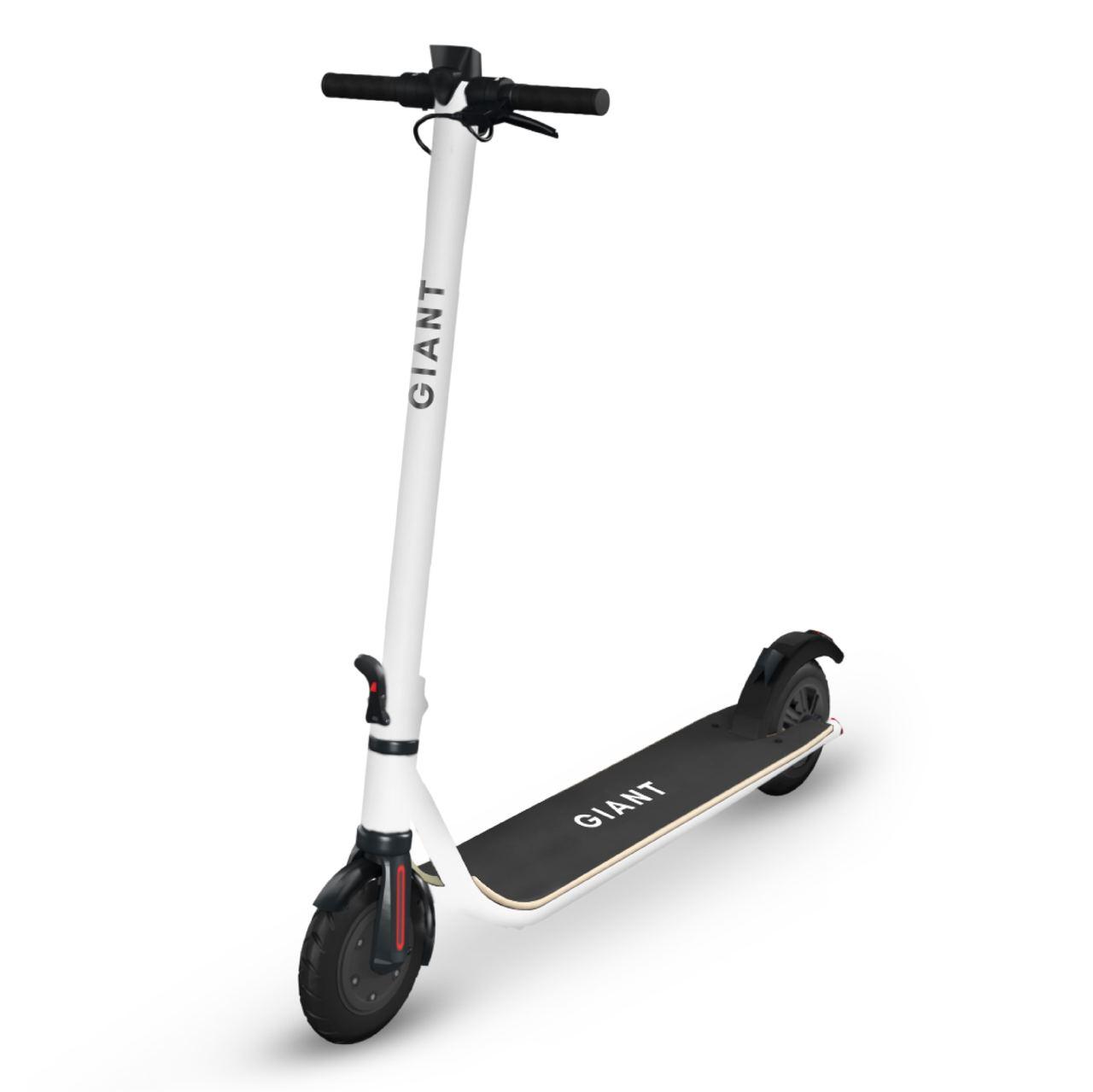 Электросамокат GIANT U9 PRO 600W 13Ah — Купить Недорого на Bigl.ua ...