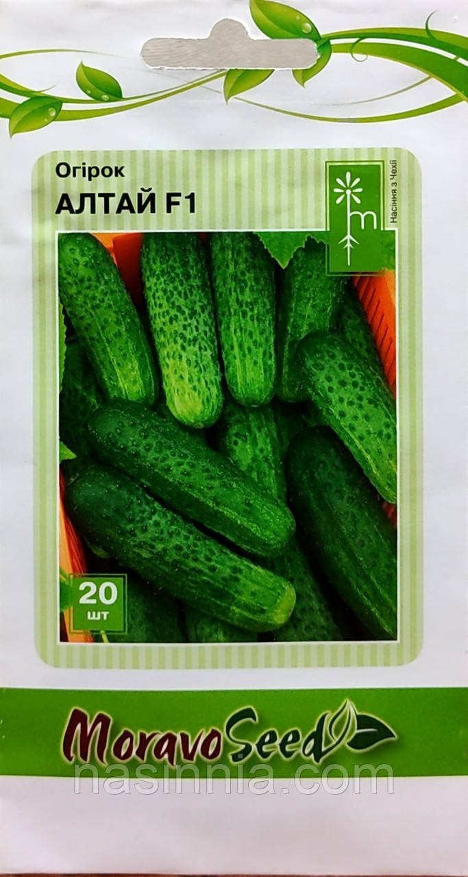 Огірок Алтай F1 20 насінин, фото 1
