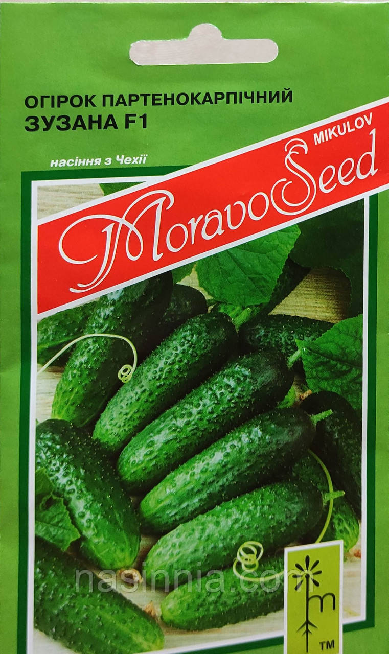 Огірок Зузуна F1 1,2 грама, фото 1