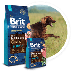 УЦІНКА! Сухий корм Brit Premium Dog Sensitive Lamb для собак із чутливим травленням з м'ясом ягняти 3 к