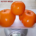 Насіння Томат Бочка меду (високорослий) 20 шт, фото 2