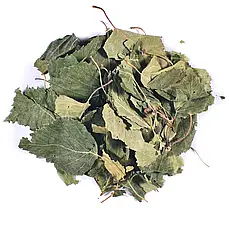 Листя берези 1 кг