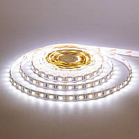 Led стрічка 12В бІла AVT smd5050 60LED/m IP65, 1м