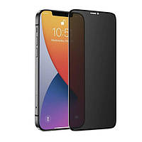 Защитное стекло Apple iPhone 11 Pro Max / iPhone XS Max, Matte Box, 2.5D, Черный